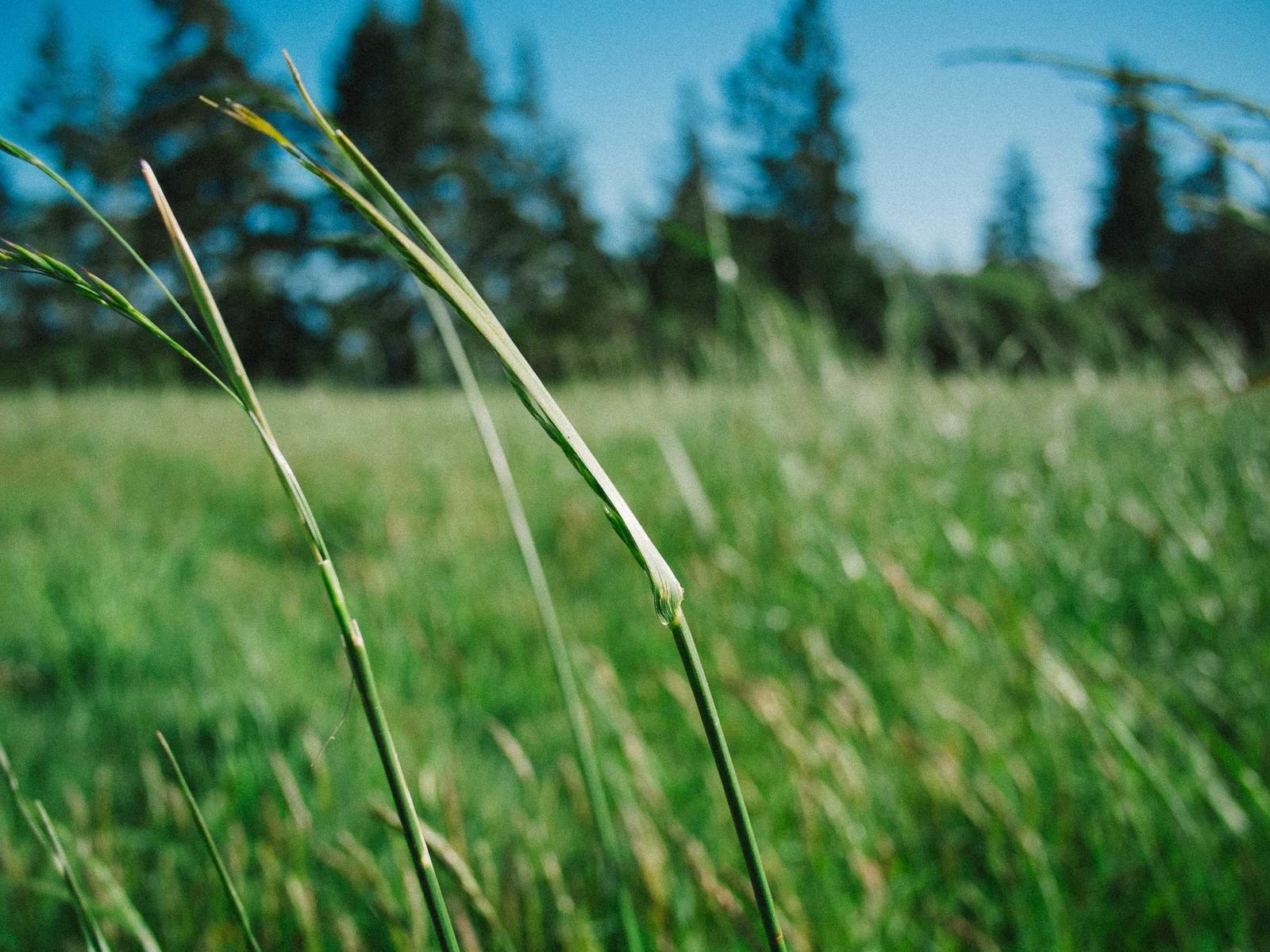 Macro landscape photograph annotated like a field survey